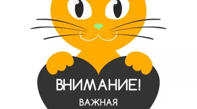 Внимание! Важная информация