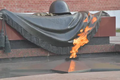 Вечная память героям | Новости | Администрация города Мурманска -  официальный сайт