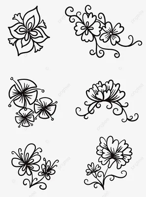 Векторные жуки, нарисованные вручную Черно-белые насекомые для дизайна,  иконки, логотипа или печати Нарисовать точками Прекрасный Иллюстрация штока  - иллюстрации насчитывающей нарисовано, взорвать: 162439994