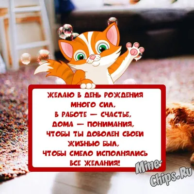 Весёлая и прикольная картинка для мужчины в день рождения - С любовью,  Mine-Chips.ru
