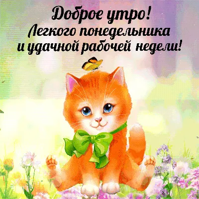 Счастливого понедельника☕🍰 😘💕🌿🌹🌿🥰 | TikTok