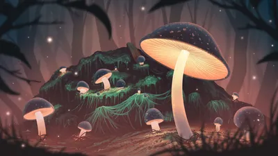 Интересные грибы | Пикабу