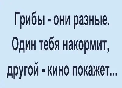 Nataliya Lemesheva on Instagram: “Самые красивые грибы в лесу: мухоморы! У  них огромное разнообразие цвета и форм! Пока нормал… | Painting, Artwork,  Instagram posts