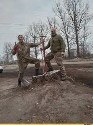 Лучшие приколы про армию, которые заставят вас расмеяться | Военное Право |  Дзен