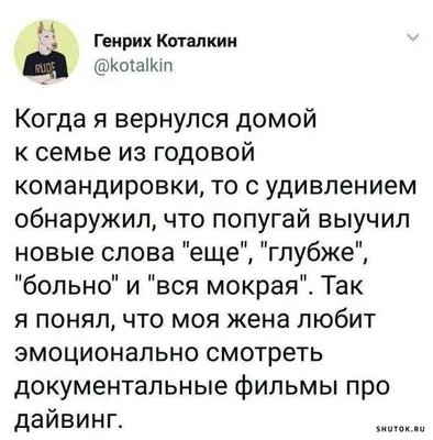 Reposted from @tengrimix Миротворец из Казахстана рассказала о службе в  Ливане ⠀ Полковник Диля Ахметова в детстве не планировала служить… |  Instagram