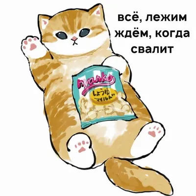 Россия: веселые полтора десятка смешных анекдотов про лень | Мои любимые  путешествия | Дзен