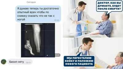 Медицинский Юмор (@medical___humor) • Instagram photos and videos