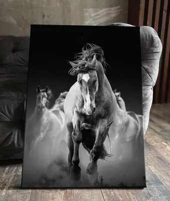 Про100 красивые ЛОШАДИ — Фото | OK.RU | Красивые лошади, Лошади  клейдесдаль, Породистые лошади