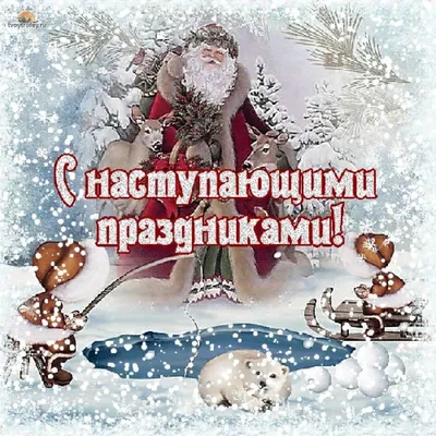 Смешные и прикольные картинки с наступающим Новым годом Собаки 2018. |  Christmas bulbs, Christmas ornaments, Holiday decor