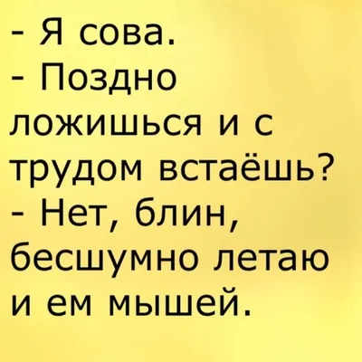 Про здоровый сон и разнообразие в еде. Добрый юмор | Свято-Eлисаветинский  монастырь | Дзен