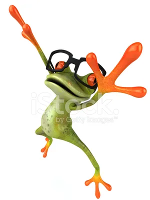 Веселые Лягушки Стоковые Фотографии | FreeImages