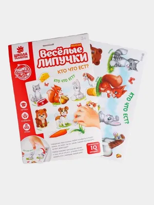 Игривые пельмени и ракушки из теста