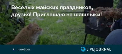 Веселых майских праздников картинки фотографии