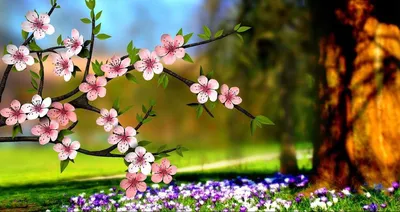 Весеннее настроение - Весна - Природа - Картинки на рабочий стол