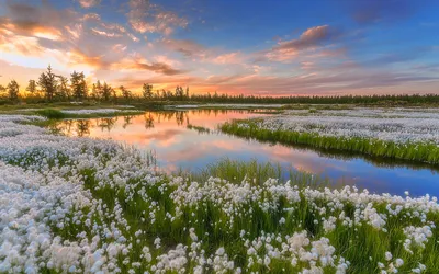 Где провести весенние каникулы с детьми в России — Яндекс Путешествия