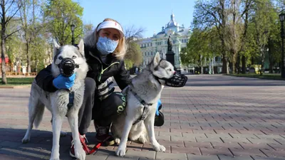 Рисунок Весна в моём городе - «Весна-красна!» (№296569-10.03.2022 - 13:23)