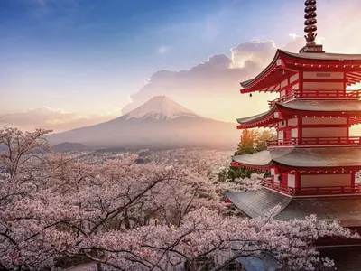 Весна в Японии обои для рабочего стола, картинки Весна в Японии, фотографии  Весна в Японии, фото Весна в Японии скачать бесплатно | FreeOboi.Ru
