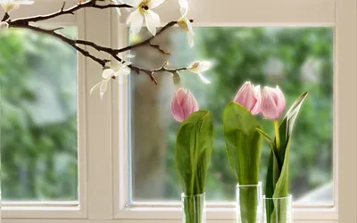 Весна за окном. | Фотосайт СуперСнимки.Ру