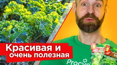 Чем полезны разные виды капусты? | Еда и кулинария | ШколаЖизни.ру
