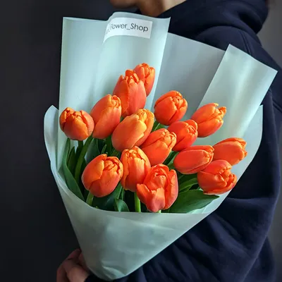 Тюльпаны: какие бывают виды и их особенности - Цветы Микс