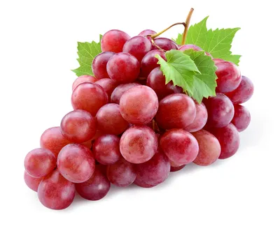 Какой виноград самый полезный - белый или красный | Стайлер