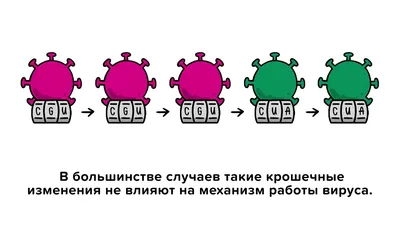 Ученые определили доминирующий в России генотип вируса кори - РИА Новости,  17.05.2023