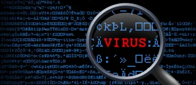 Эксперты оценили данные о «малоизученности» вируса RSV — РБК