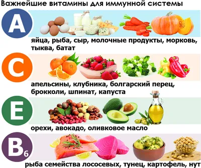 Анализ крови на витамины группы B - анализ крови на витамин В12 по  доступной цене в Воронеже