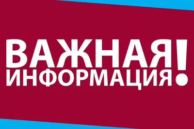 Купить книгу «Развиваем внимание (2-3 года)», Ольга Земцова | Издательство  «Махаон», ISBN: 978-5-389-00338-5