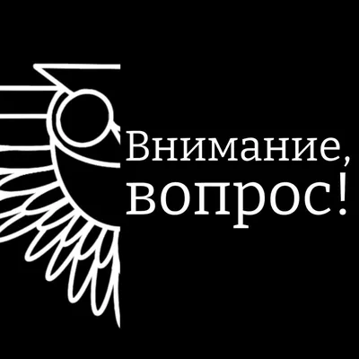 Шоу «Внимание, Вопрос!» 2024 | ВКонтакте