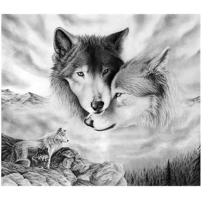 Купить картина стразами \"Волчья любовь\" 48 x 38 Гранни, цены на Мегамаркет  | Артикул: 100025614808