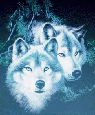 Купить Волк Ледяное поле Волк Мода 5d Алмазная картина Полный круглый  50х40см Изображение | Joom