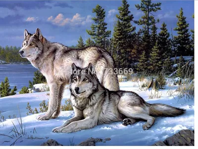 Волчица с волчатами лежит клипарт: 6 тыс изображений найдено в  Яндекс.Картинках | Wild dogs, Beautiful wolves, Diamond painting