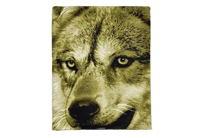 Купить картина по номерам ВанГогВоМне Волки и волчата, 40x50, цены на  Мегамаркет | Артикул: 600001085720