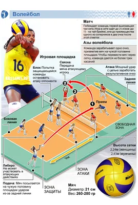Профессиональный и любительский волейбол в России и мире