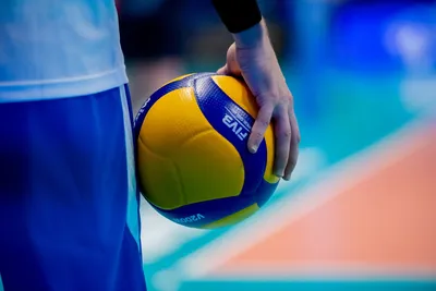 Волейбол: молодёжь набирается опыта в «Академии Платонова» - В мире спорта