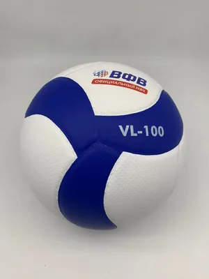 Волейбольный мяч INGAME belt ing-098, сине-желтый УТ-00002765 - выгодная  цена, отзывы, характеристики, фото - купить в Москве и РФ