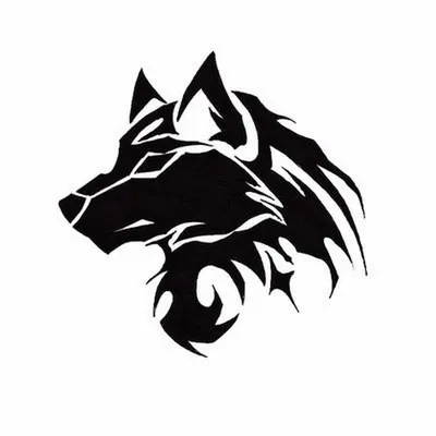 Волк черно белая картинка фотографии