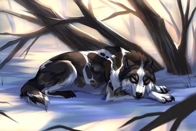 Щенок серого волка Аниме Рисунок, СИНИЙ ВОЛК, млекопитающее, животные,  кошка png | Klipartz