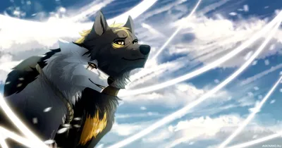 Картинки злые волки аниме - красивая подборка