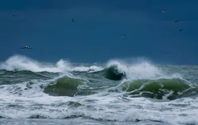 Морская волна - Другое/разное