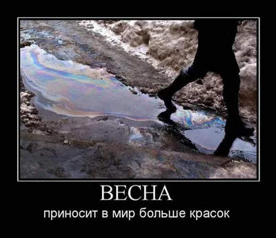 Анна Брэдстрит цитата: „Если бы не было зимы, весна не казалась бы нам  такой прекрасной; если бы не было нищеты, богатство не было бы так желан…“