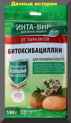 Как вырастить батат на огороде? - Рамблер/женский