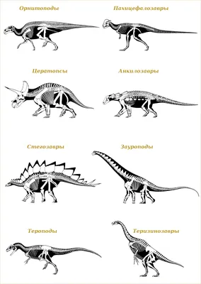 Все картинки про динозавров фотографии