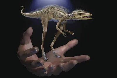 Стив Брусатти «Время динозавров: Новая история древних ящеров» - ВСЕ  СВОБОДНЫ