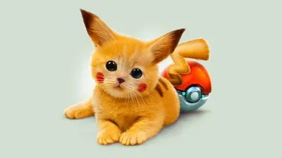 Иви в Pokemon GO: как получить все эволюции