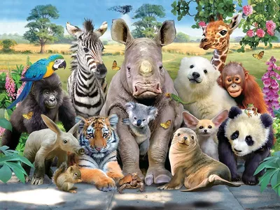 Картинки разных животных мира - 61 фото