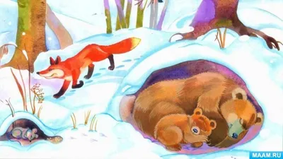 Как выглядят новорожденные животные | Мир фауны | Дзен