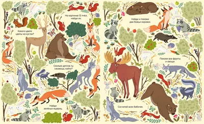 Следы животных в лесу - карточки Монтессори купить и скачать