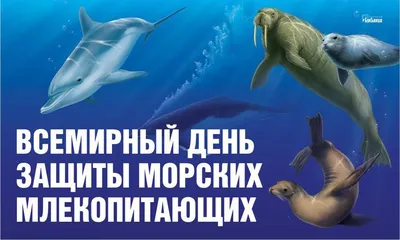 Сегодня Всемирный день китов и …» — создано в Шедевруме
